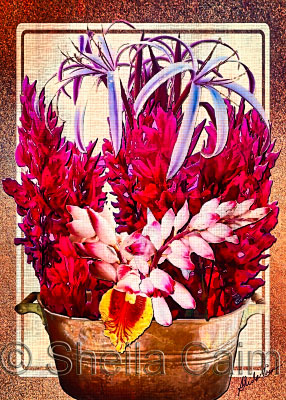 flower collection #3
